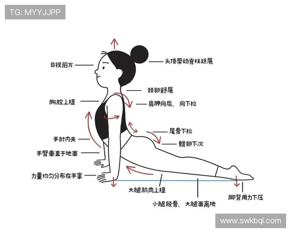 打造全身强健体魄从入门到进阶的健身计划与训练技巧分享 打造全身强健体魄从入门到进阶的健身计划与训练技巧分享