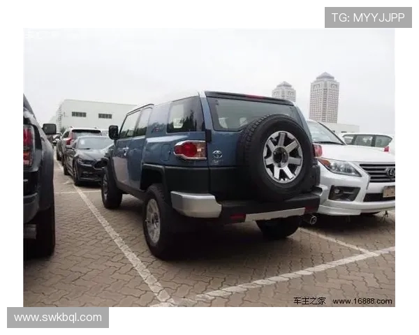 杭州排球队在洲际杯积分榜中以58分稳居第一名展现强劲实力