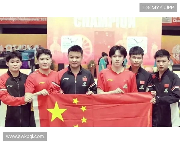 武汉乒乓球队拼搏历程揭秘精英赛背后的奋斗与荣耀