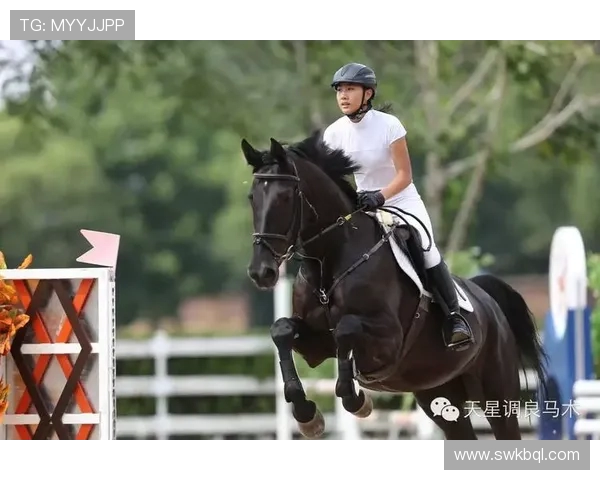 高校联赛最新积分榜LNG战队以69分稳居榜首位置