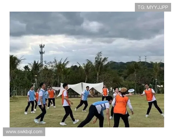 飞盘运动崛起北京飞盘队转型之路的挑战与机遇 飞盘运动崛起北京飞盘队转型之路的挑战与机遇