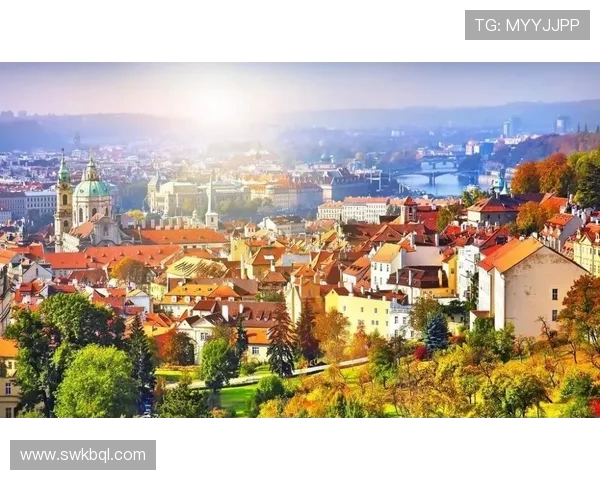 布莱克尼的魅力探索:揭示这座城市的历史与文化之美 布莱克尼的魅力探索:揭示这座城市的历史与文化之美